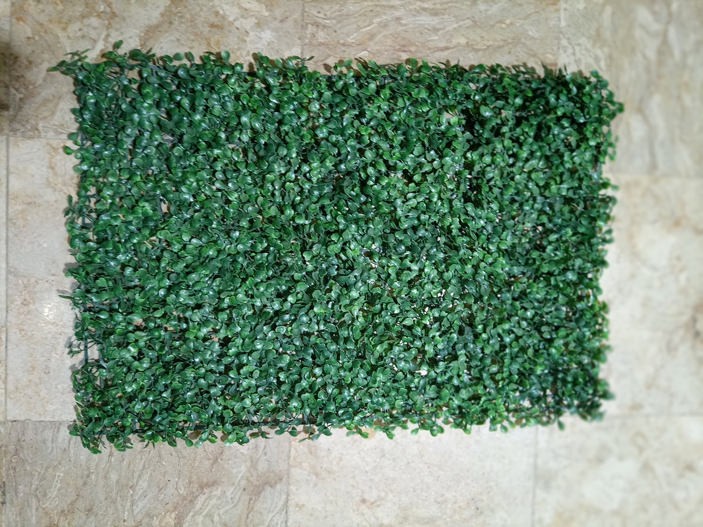 Artificial Boxwood Hedge Plastic Grass Mat For Floor Decoration Indoor and Outdoor Decor