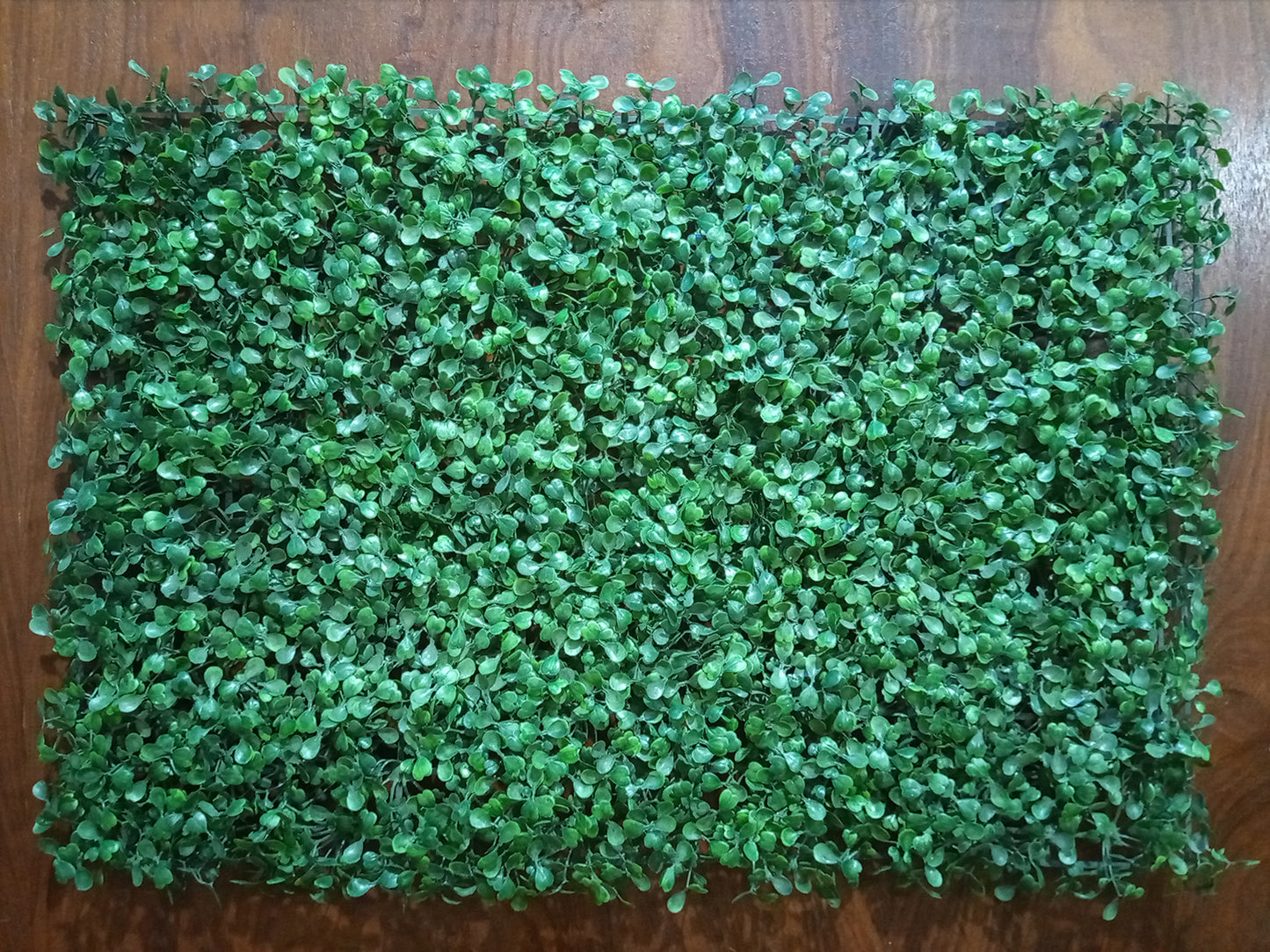 Artificial Boxwood Hedge Plastic Grass Mat For Floor Decoration Indoor and Outdoor Decor