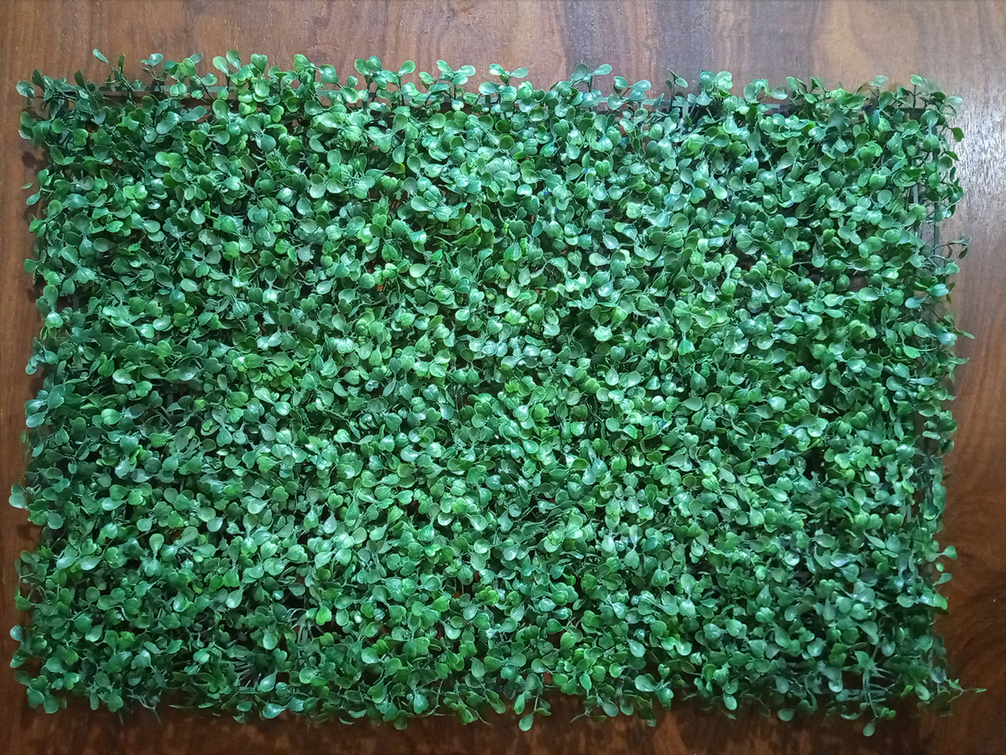 Artificial Boxwood Hedge Plastic Grass Mat For Floor Decoration Indoor and Outdoor Decor