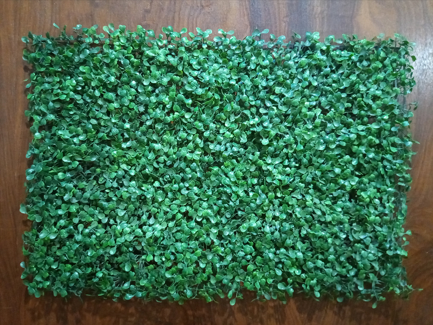 Artificial Boxwood Hedge Plastic Grass Mat For Floor Decoration Indoor and Outdoor Decor