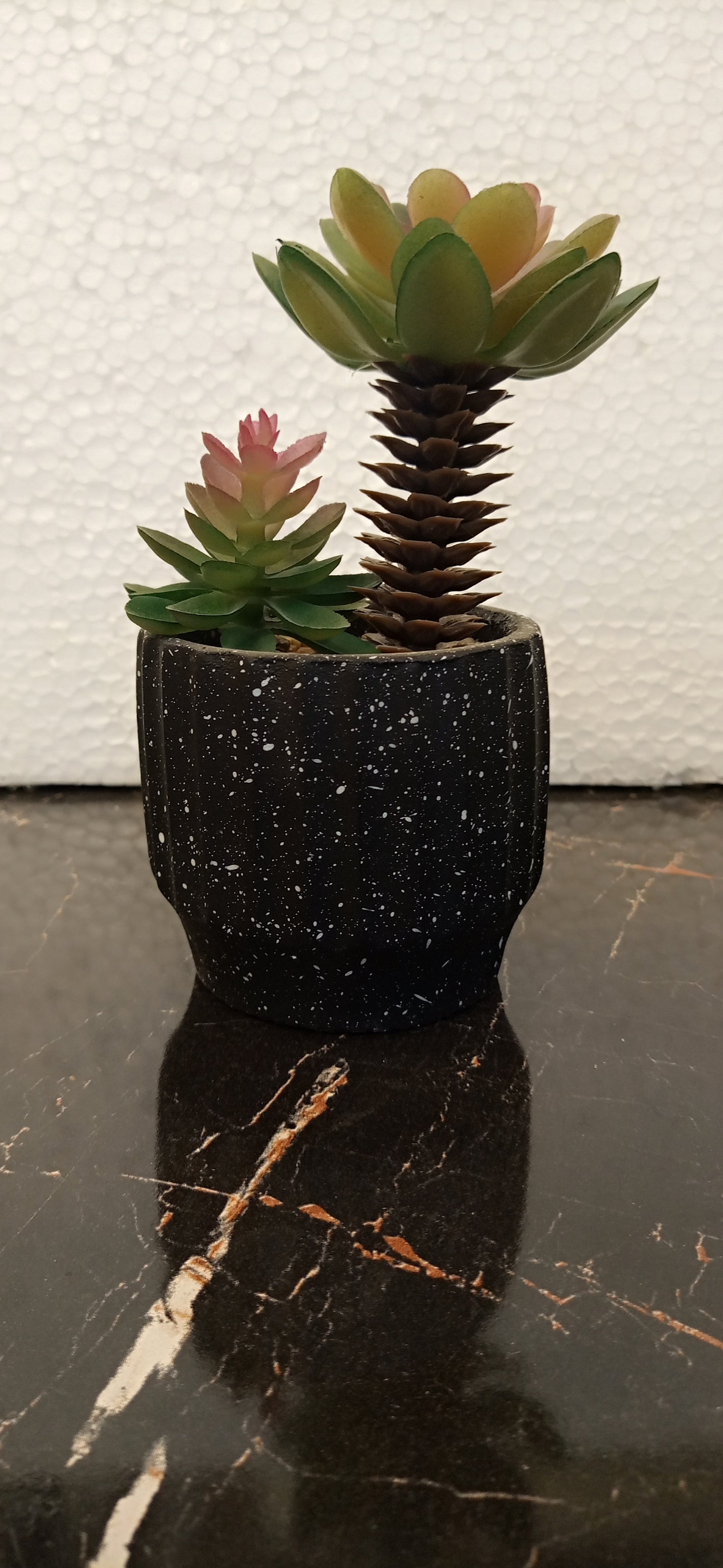 Imported Realistic Cactus Plant – Perfect Accent for Home & Office Spaces