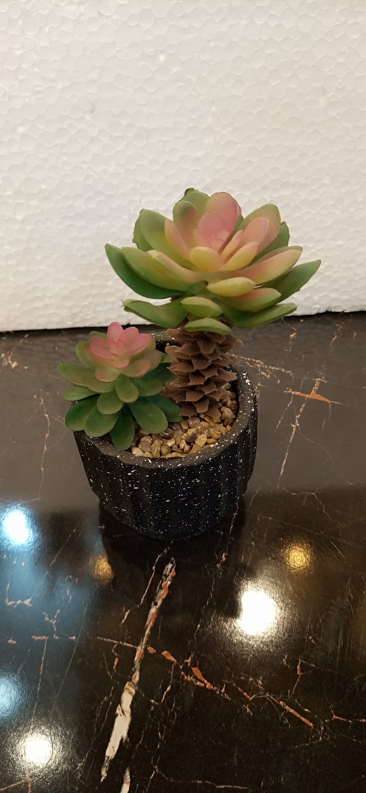 Imported Realistic Cactus Plant – Perfect Accent for Home & Office Spaces