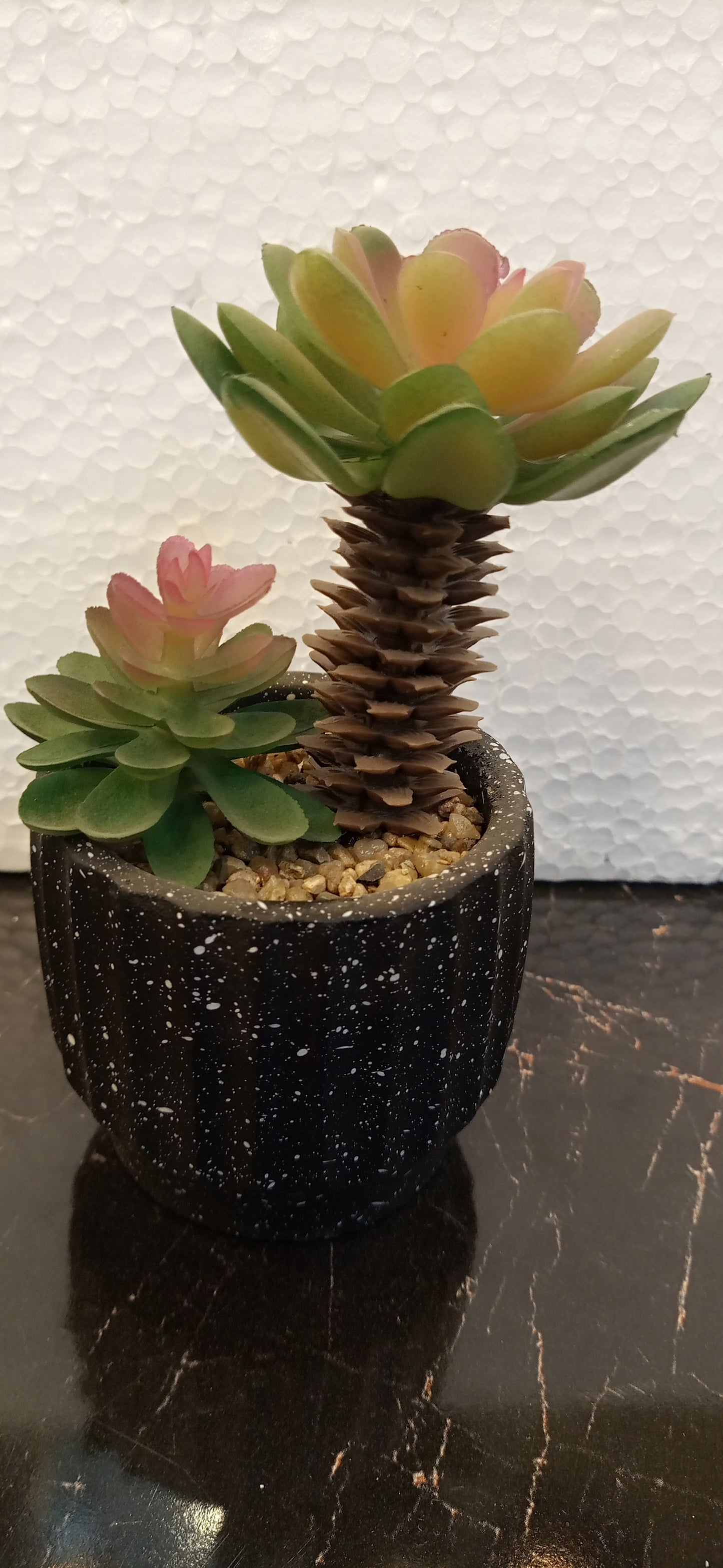 Imported Realistic Cactus Plant – Perfect Accent for Home & Office Spaces