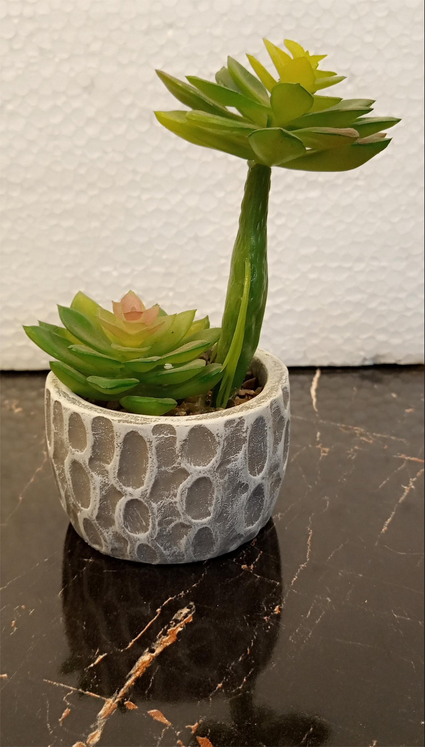 Realistic Rubber Cactus Plant in Ceramic Pot for Home & Office Decor