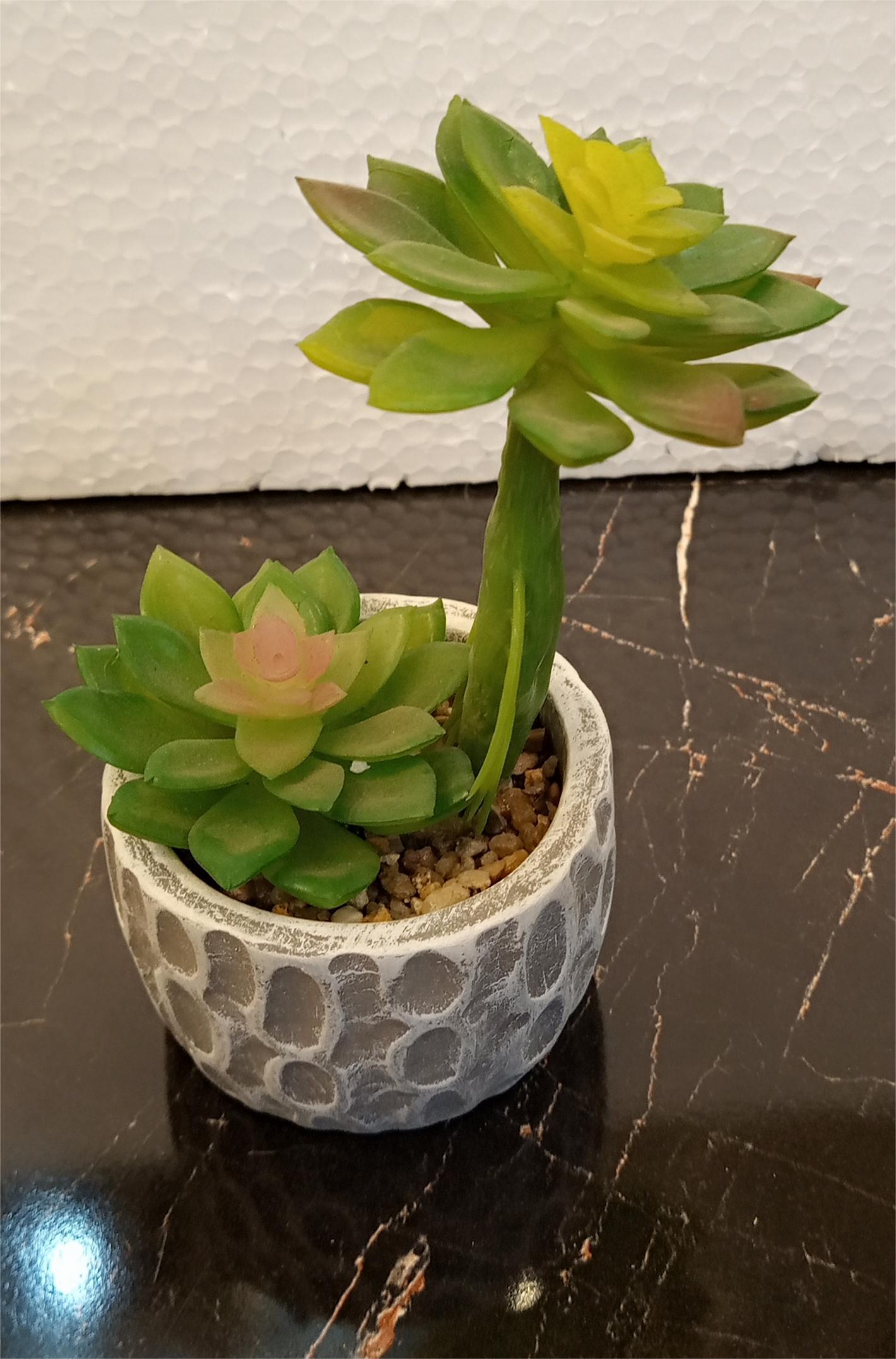 Realistic Rubber Cactus Plant in Ceramic Pot for Home & Office Decor