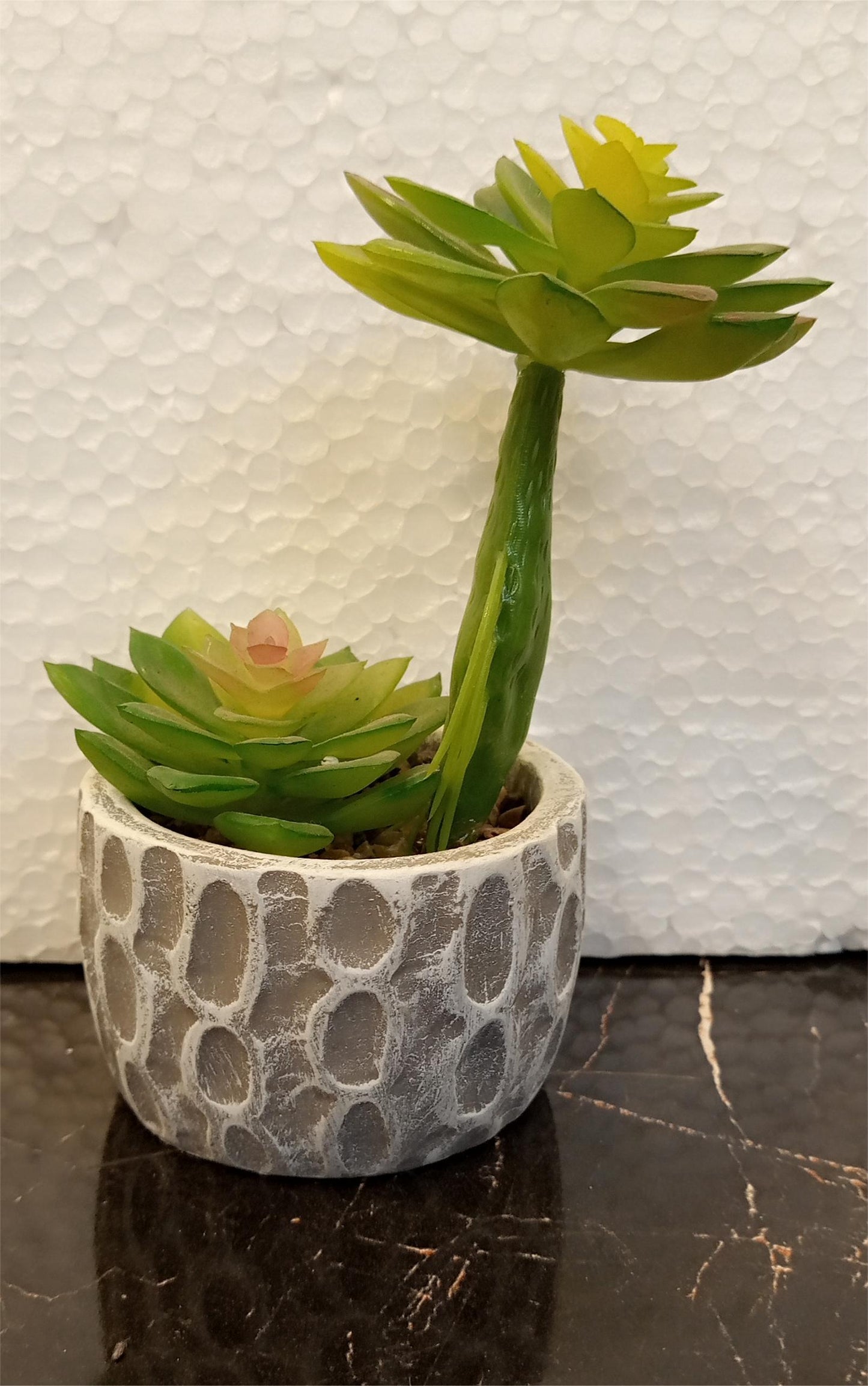 Realistic Rubber Cactus Plant in Ceramic Pot for Home & Office Decor