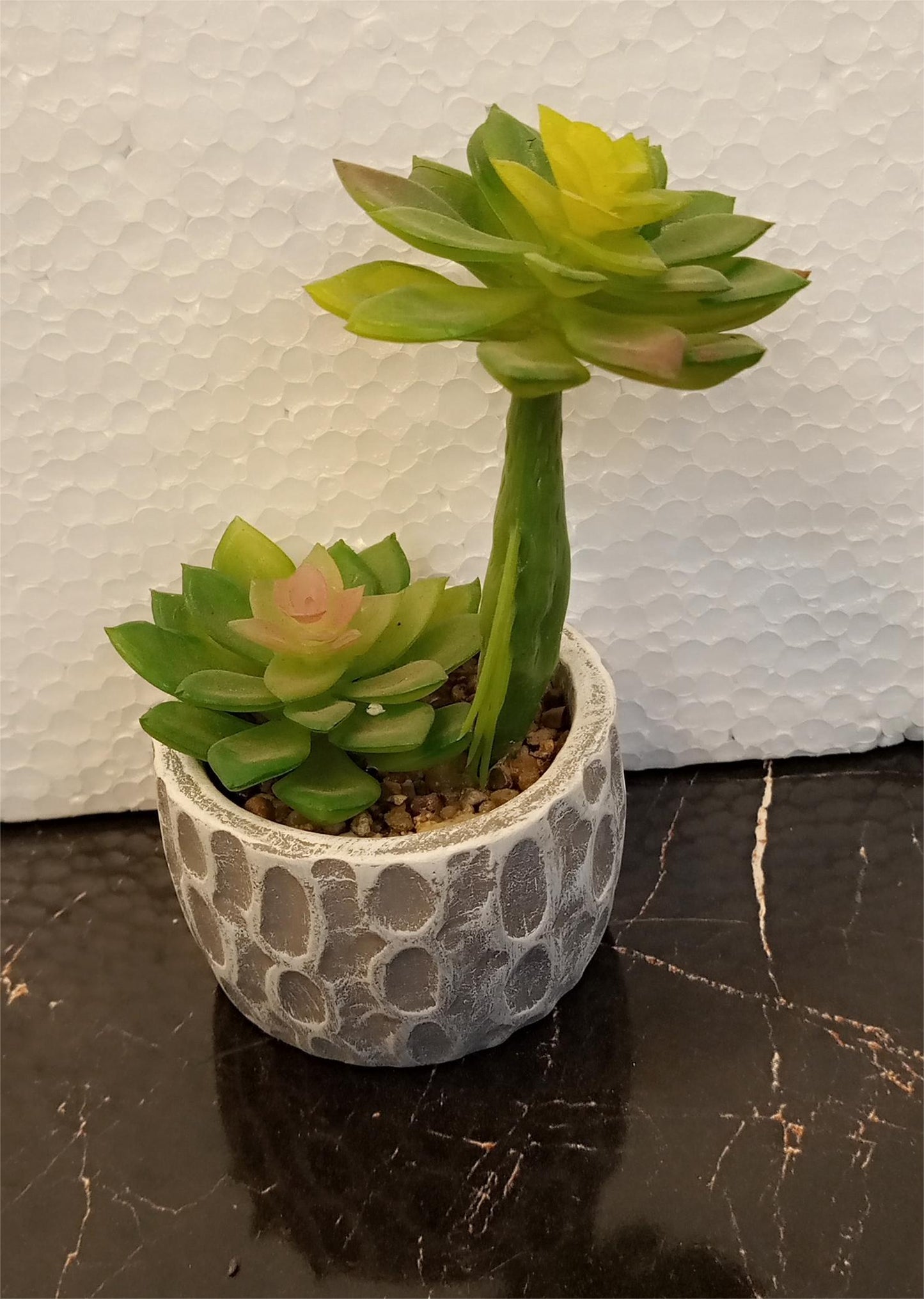 Realistic Rubber Cactus Plant in Ceramic Pot for Home & Office Decor