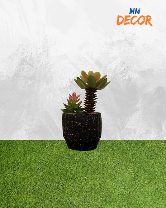 Imported Realistic Cactus Plant – Perfect Accent for Home & Office Spaces